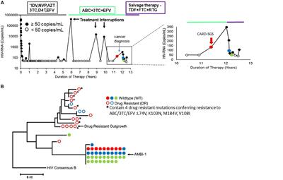 HIV Infected T Cells Can Proliferate in vivo Without Inducing Expression of the Integrated Provirus